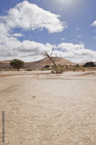 Pan of the Sossusvlei in the Namib Desert, Namibia, Africa