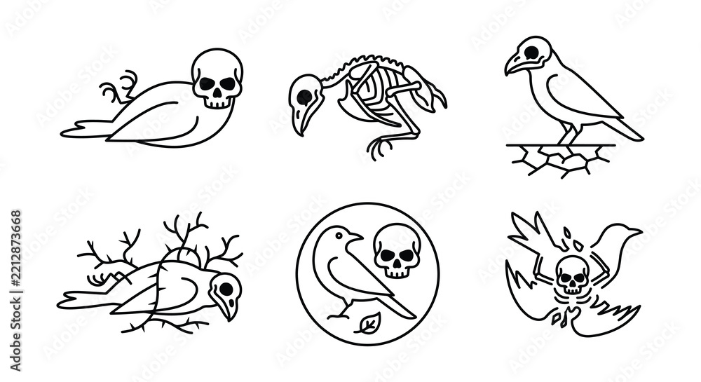 Obraz premium Line art illustrations depict birds skulls and skeletal remains on a white background