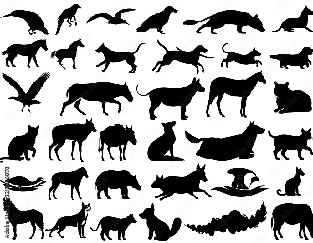 Obraz premium Set of various mammal and bird silhouettes isolated on white background