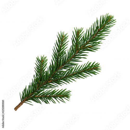 Green spruce branch creating a natural decoration for christmas and winter transparent background holidays