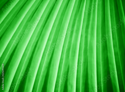Green pleats abstract illustration background