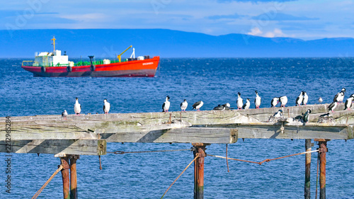 fishing boats in the harbor