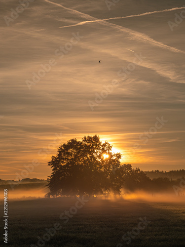sunrise