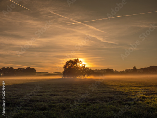 sunrise over the field