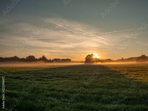 sunrise over the field