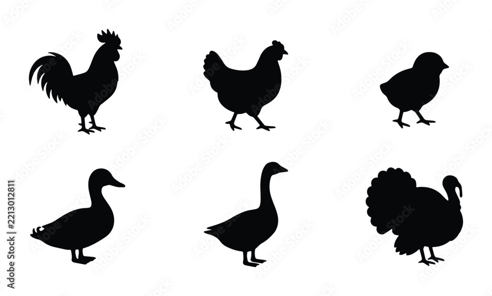 Fototapeta premium Farm animals vector silhouette set, poultry collection with rooster, hen, chick, duck, goose