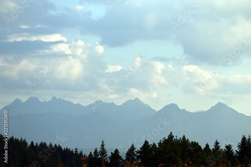 Golden Grass Field with Pine Trees and Tatra Mountain Range  in distance