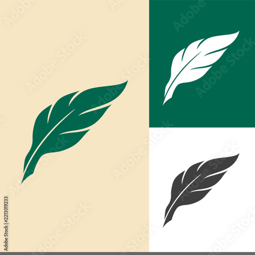 vector set of feathers