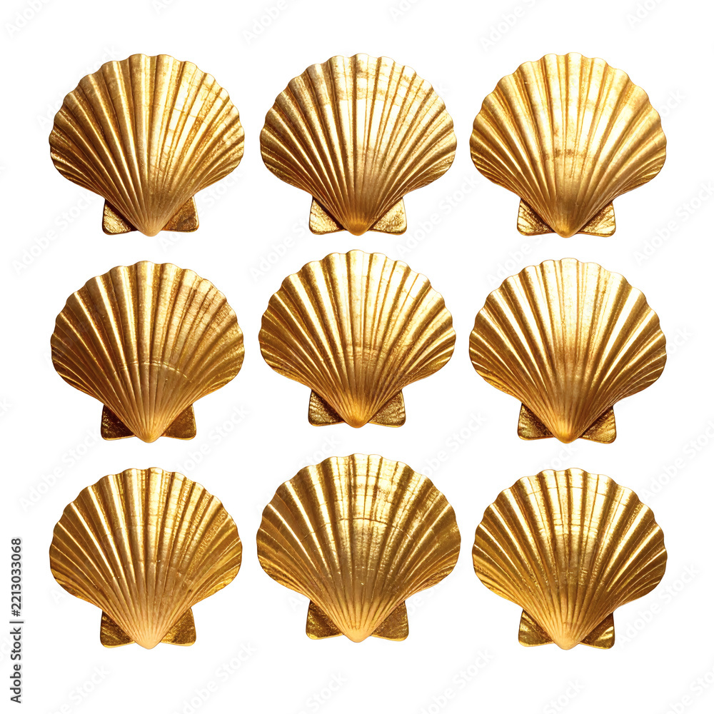 Fototapeta premium Golden seashell pattern featuring nine shiny metallic scallop shells arranged in a grid formation isolated on transparent background