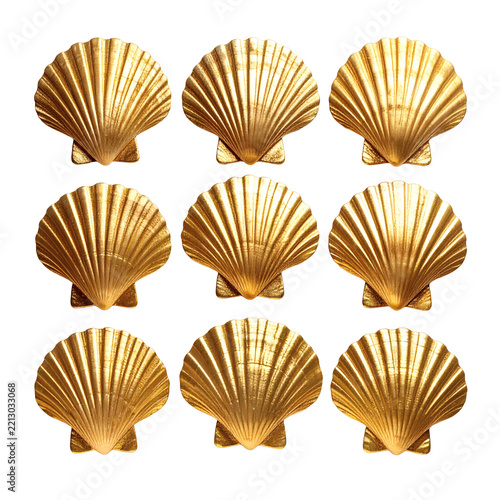 Golden seashell pattern featuring nine shiny metallic scallop shells arranged in a grid formation isolated on transparent background