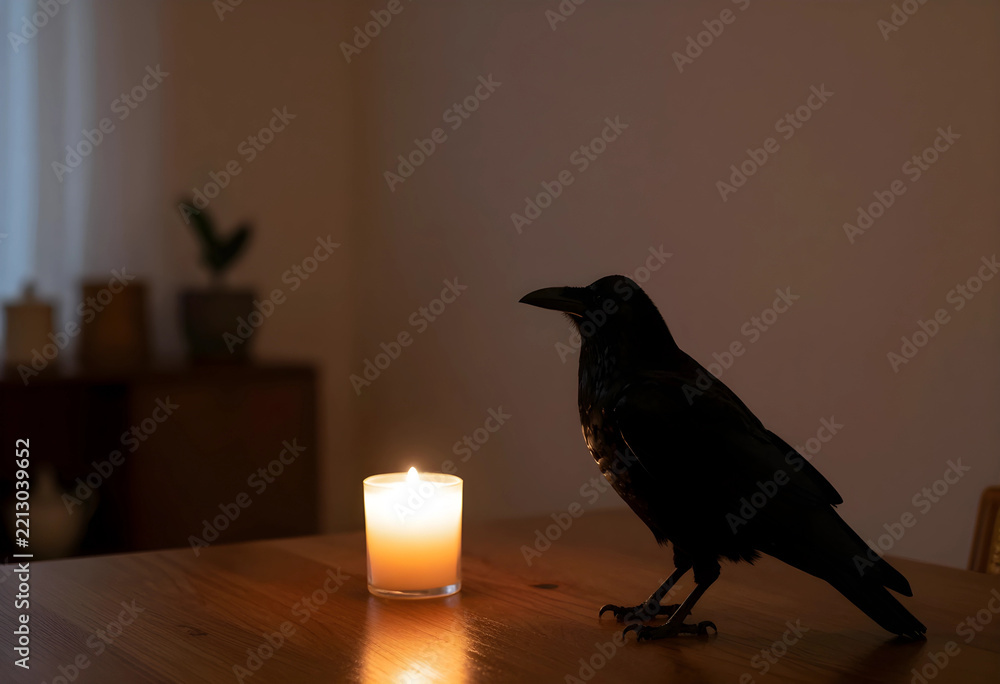 Fototapeta premium Mystery and gothic atmosphere, black raven standing on a wooden table next to a glowing candle in a dark room for halloween or occult storytelling
