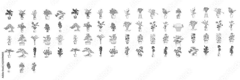 Fototapeta premium Architectural indoor potted plant collection with diverse tropical foliage plants outlines for interior elevation drawings and CAD render.