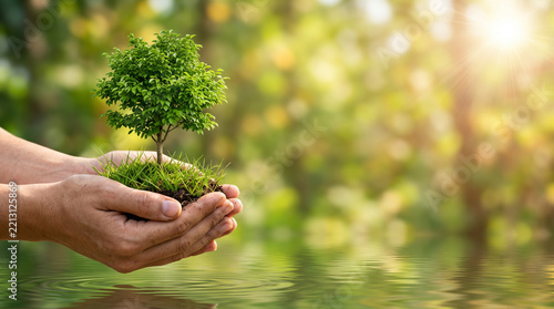 Hands holding small green tree on grass mound with sunlight and bokeh background, environmental conservation and sustainability concept with copy space