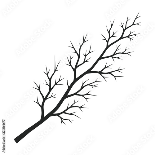 Bare Tree Branch Silhouette Isolated on White Background for Seasonal Design Use