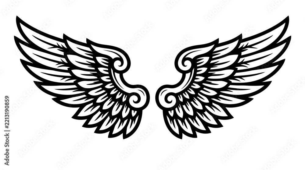 Fototapeta premium Stylized Black and White Wing Illustration