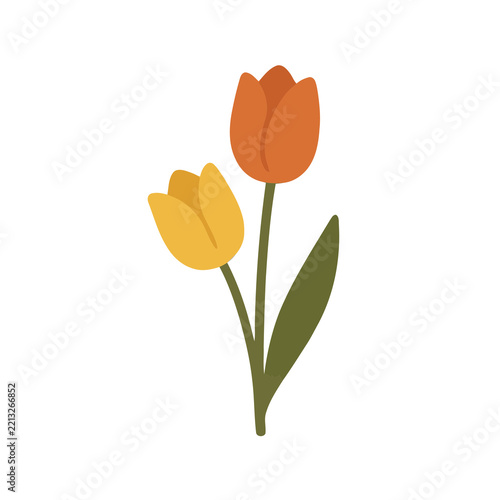 Two stylized tulips, orange and yellow