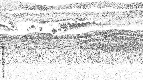 cross section of layered geological rock strata with compact and granular textures illustrating sediment deposition and structure