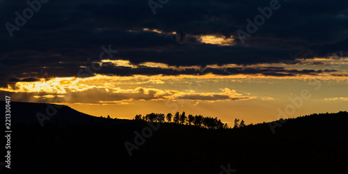 Panorama-silhouette of trees with evening orange sky with clouds