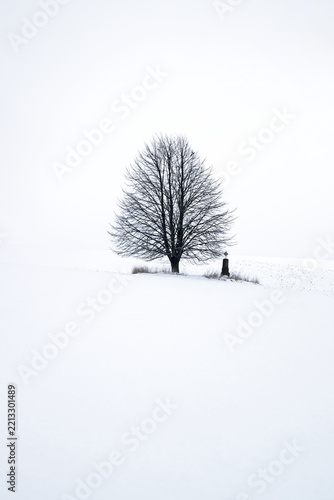 lonely tree in a winter white landscape with snow with a tombstone with a cross