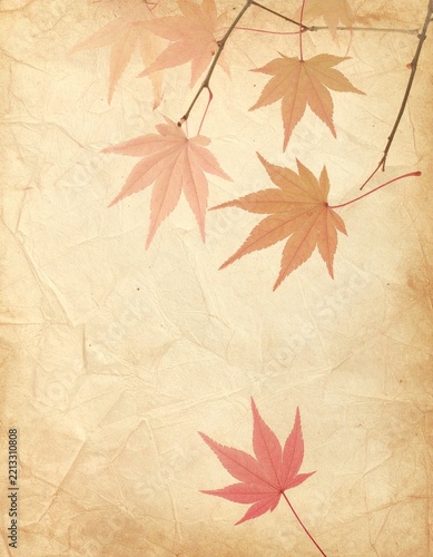 Old japanese confectionery paper with autumnal maple leaves as background. 