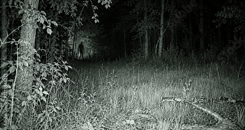 Night vision trail camera view of a dark human silhouette standing at the edge of a mysterious forest path