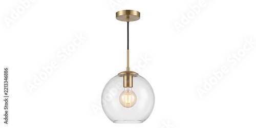 Modern brass pendant light with clear glass globe shade and warm filament bulb