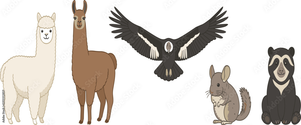 Fototapeta premium Andean Mountain Wildlife Vector Illustration Set Featuring a White Alpaca, Brown Llama, Andean Condor Bird, Chinchilla Rodent, and Spectacled Bear Character