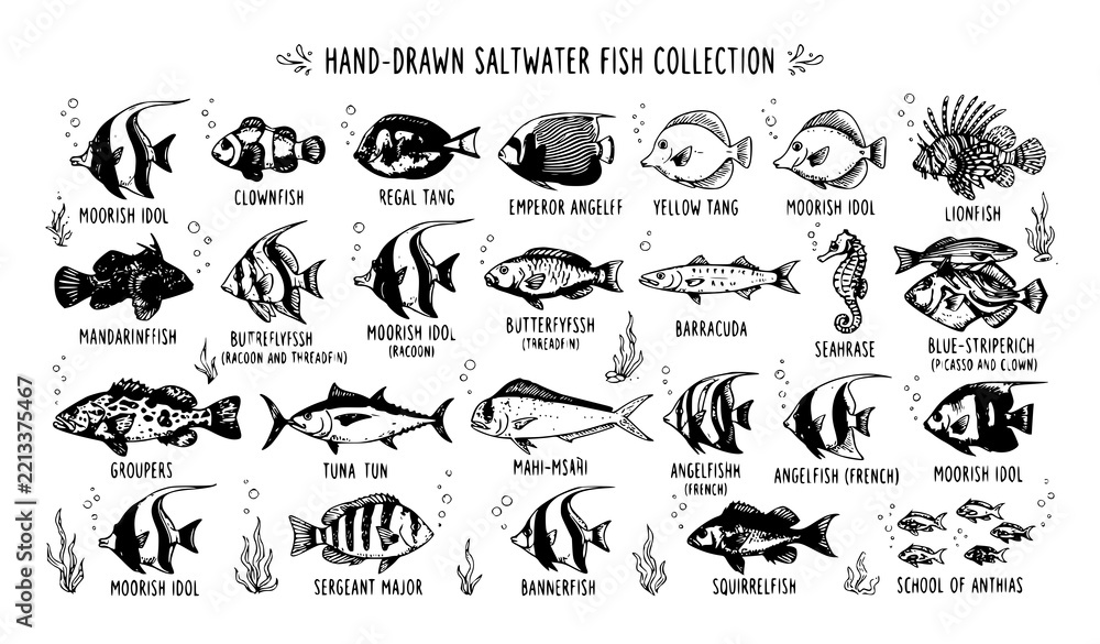 Obraz premium wild animals collection