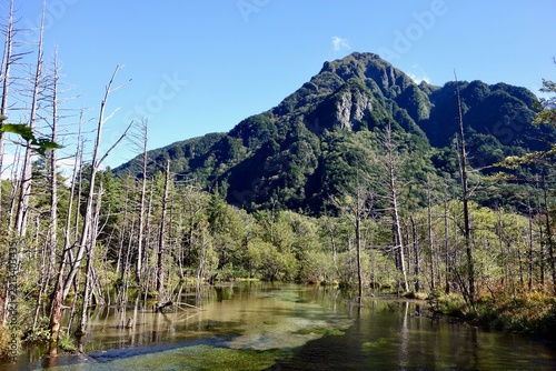 Scenic vertical view of tranquil alpine pond with standing dead trees and majestic mountain peak under clear blue sky in Kamikochi, Nagano, Japan