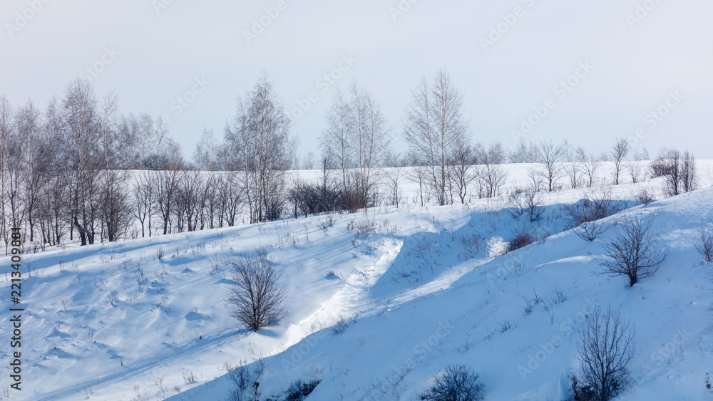 Obraz premium Snow blankets rolling hills and bare trees