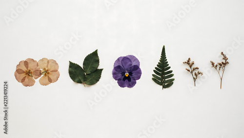 A horizontal arrangement of dried pressed flowers, green leaves, a purple pansy, a fern frond, and small dried twigs on a white background