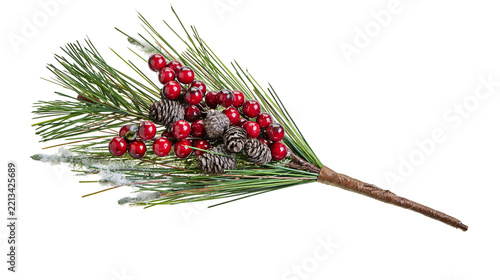 Isolated Christmas holiday decorative branch with pine needles, red berries, and rustic cones