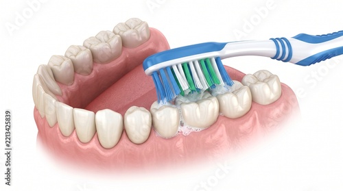 Toothbrush cleaning teeth, Isolated on white. Medically accurate 3D illustration of oral hygiene.