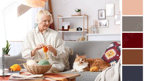 Healthy aging and retirement lifestyle, senior woman knitting with cat on sof...