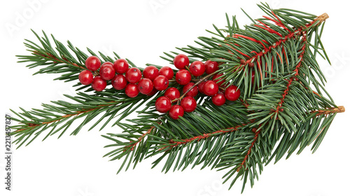 Isolated evergreen sprig with vibrant red berries, a classic symbol of winter holidays and Christmas decor