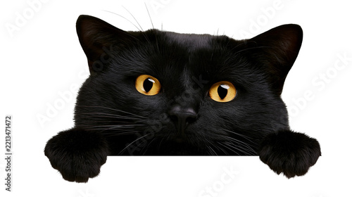 Isolated curious black cat with stunning golden eyes peeking over a blank area, mischievous pet.