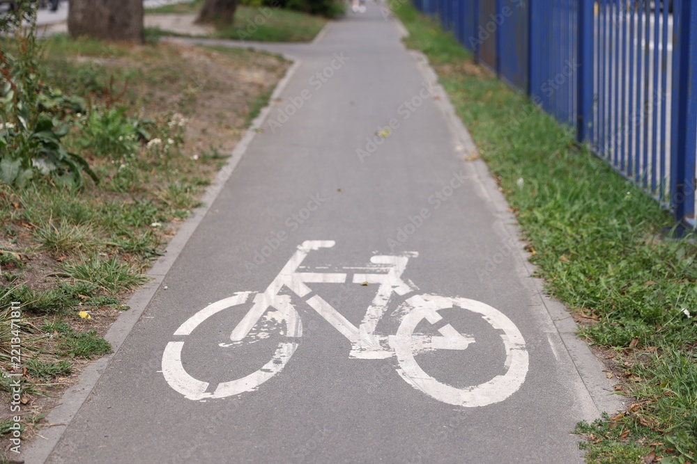 Obraz premium Bicycle lane with white sign painted on asphalt in city