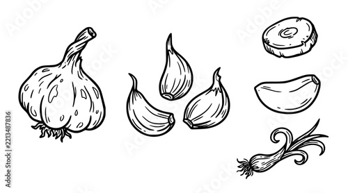  Cute Garlic Bulb and Clove Hand Drawn Culinary Illustration Set