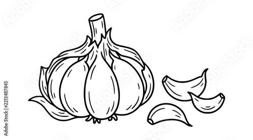 Cute Hand Drawn Garlic Bulb and Cloves Cooking Ingredient Vector