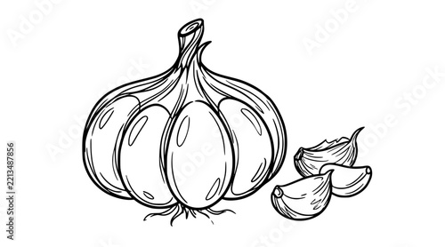  Cute Hand Drawn Garlic Bulb and Cloves Cooking Ingredient Vector