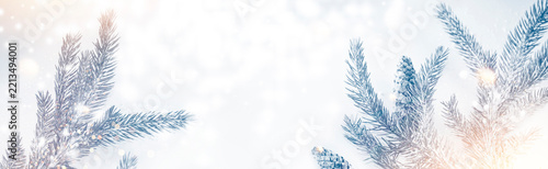 Winter in the forest. Christmas background made of fir cones and pine branches. twig