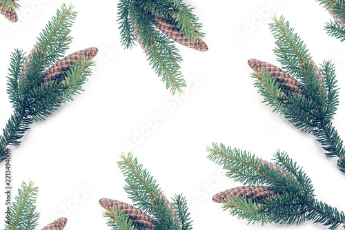 Christmas Spruce Branches with Pine Cones on White Background