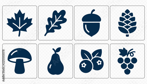 Autumn Nature Leaves Acorn and Forest Fruit Icon Set