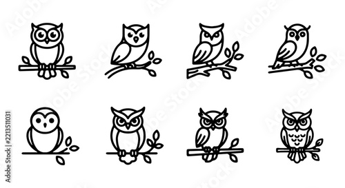 Minimalist owl vector icons set, black and white outline bird graphics for education design