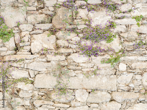 Sandsteinwand aus unterschiedlich großen Steinblöcken, in deren Fugen Unkraut und lilafarbene Blumen wachsen  ideal als Hintergrund mit ausreichend Textfreiraum