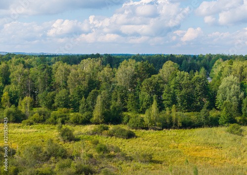 Green forest landscape with meadow in Silesian Voivodeship