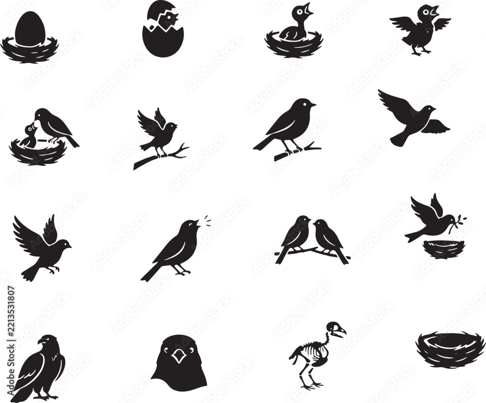 Fototapeta premium Bird life cycle illustrations showing hatching, nesting, and flight stages for educational and commercial use
