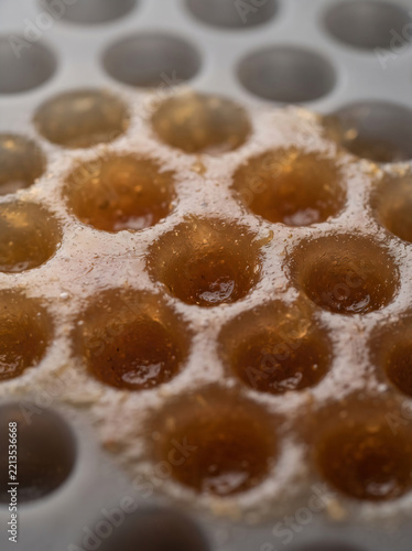 Macro view of translucent brown honeycomb structure in a mold