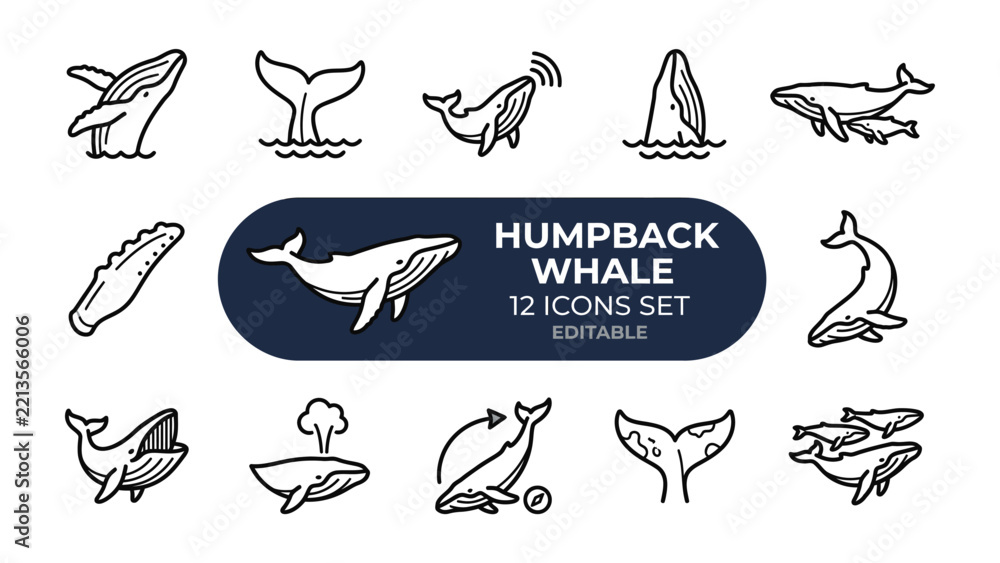 Fototapeta premium Humpback Whale Icon Set: A collection of stylized line art icons depicting various poses and actions of the majestic humpback whale, perfect for educational or marine biology themes.