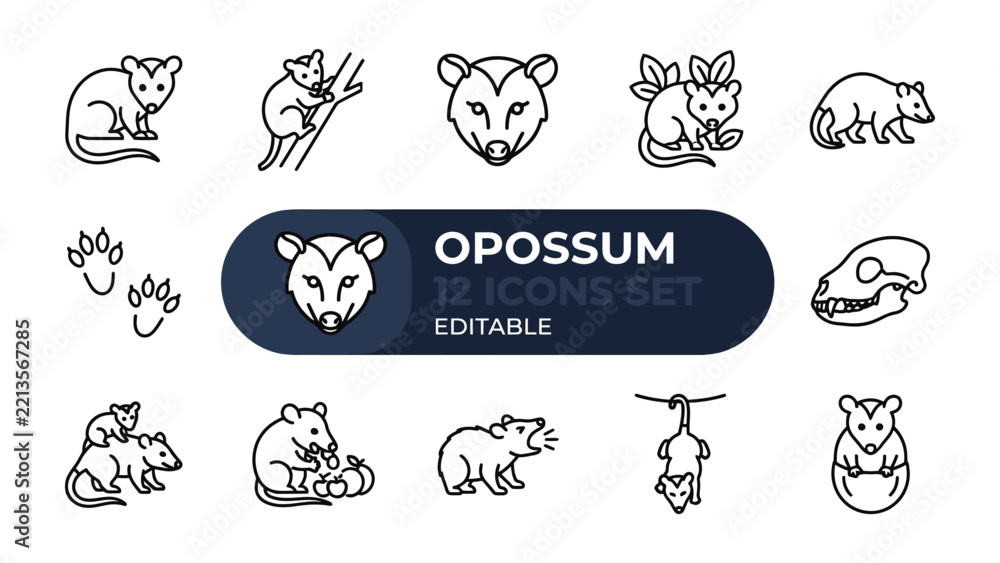 Obraz premium Opossum Icon Set: A comprehensive collection of twelve editable line art icons depicting various poses and activities of the opossum, showcasing its unique characteristics.